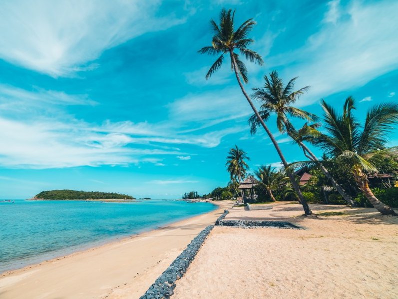 Premium vehicle leasing in oman luxury car leasing services in salalah near international airport